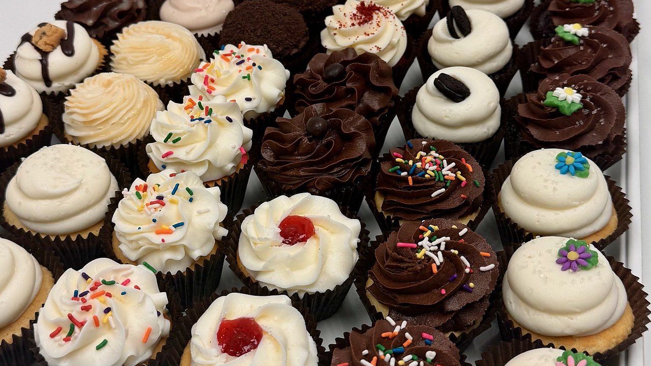A full tray of Mrs. Kelder's cupcakes in rows, iced in vanilla and chocolate buttercream with sprinkles