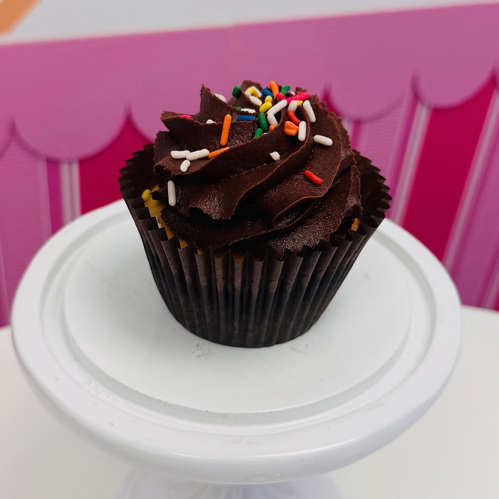 A cupcake with chocolate frosting and rainbow sprinkles