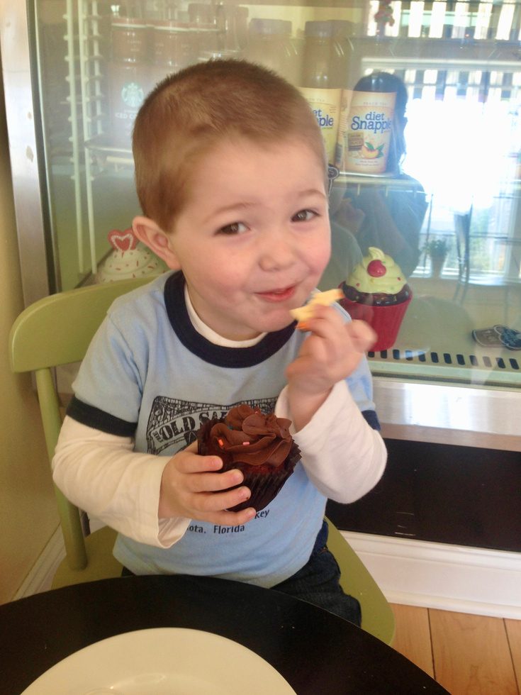 A little boy enjoying a chocolate cupcake
